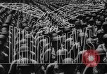 Image of Franklin Delano Roosevelt United States USA, 1945, second 13 stock footage video 65675068117