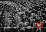 Image of Franklin Delano Roosevelt United States USA, 1945, second 14 stock footage video 65675068117