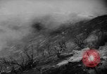 Standbild Forest Fire California United States USA, 1960, aus Sekunde 28 historischem Filmmaterial Videoclip 65675068122