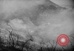 Standbild Forest Fire California United States USA, 1960, aus Sekunde 37 historischem Filmmaterial Videoclip 65675068122