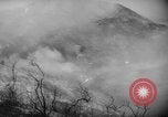 Standbild Forest Fire California United States USA, 1960, aus Sekunde 38 historischem Filmmaterial Videoclip 65675068122