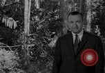 Image of Malayan Emergency Malaysia, 1966, second 11 stock footage video 65675068126
