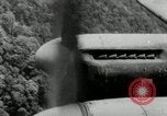 Image of Malayan Emergency Malaysia, 1966, second 18 stock footage video 65675068126