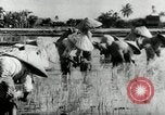 Image of Malayan Emergency Malaysia, 1966, second 54 stock footage video 65675068126