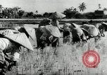 Image of Malayan Emergency Malaysia, 1966, second 55 stock footage video 65675068126