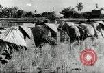 Image of Malayan Emergency Malaysia, 1966, second 56 stock footage video 65675068126