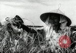 Image of Malayan Emergency Malaysia, 1966, second 57 stock footage video 65675068126
