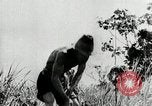Image of Malayan Emergency Malaysia, 1966, second 59 stock footage video 65675068126