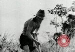 Image of Malayan Emergency Malaysia, 1966, second 60 stock footage video 65675068126