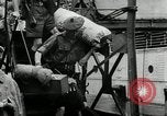 Image of Malayan Emergency Malaysia, 1966, second 8 stock footage video 65675068127