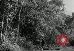 Image of Malayan Emergency Malaysia, 1966, second 26 stock footage video 65675068127