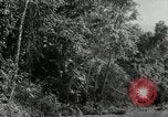 Image of Malayan Emergency Malaysia, 1966, second 27 stock footage video 65675068127