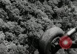 Image of Malayan Emergency Malaysia, 1966, second 43 stock footage video 65675068127