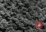 Image of Malayan Emergency Malaysia, 1966, second 44 stock footage video 65675068127