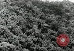 Image of Malayan Emergency Malaysia, 1966, second 45 stock footage video 65675068127