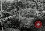Image of Malayan Emergency Malaysia, 1966, second 48 stock footage video 65675068127