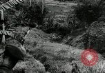 Image of Malayan Emergency Malaysia, 1966, second 50 stock footage video 65675068127