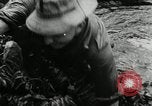 Image of Malayan Emergency Malaysia, 1966, second 62 stock footage video 65675068127