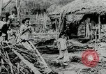 Image of Malayan Emergency Malaysia, 1966, second 53 stock footage video 65675068128
