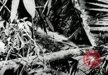 Image of Malayan Emergency Malaysia, 1966, second 1 stock footage video 65675068129