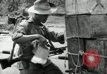 Image of Malayan Emergency Malaysia, 1966, second 23 stock footage video 65675068129