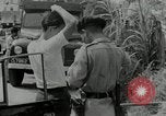 Image of Malayan Emergency Malaysia, 1966, second 26 stock footage video 65675068129