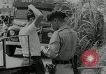 Image of Malayan Emergency Malaysia, 1966, second 27 stock footage video 65675068129