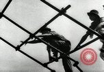 Image of Malayan Emergency Malaysia, 1966, second 47 stock footage video 65675068129