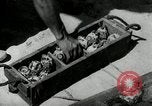 Image of Malayan Emergency Malaysia, 1966, second 49 stock footage video 65675068129
