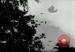 Image of Malayan Emergency Malaysia, 1966, second 15 stock footage video 65675068130