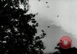 Image of Malayan Emergency Malaysia, 1966, second 18 stock footage video 65675068130