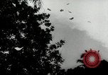 Image of Malayan Emergency Malaysia, 1966, second 19 stock footage video 65675068130