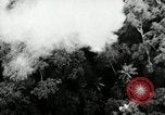 Image of Malayan Emergency Malaysia, 1966, second 47 stock footage video 65675068130