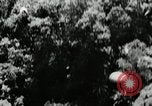 Image of Malayan Emergency Malaysia, 1966, second 61 stock footage video 65675068130