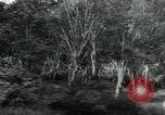 Image of Malayan Emergency Malaysia, 1966, second 17 stock footage video 65675068131