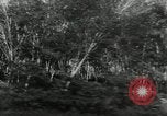 Image of Malayan Emergency Malaysia, 1966, second 18 stock footage video 65675068131