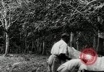 Image of Malayan Emergency Malaysia, 1966, second 54 stock footage video 65675068131