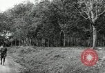 Image of Malayan Emergency Malaysia, 1966, second 56 stock footage video 65675068131