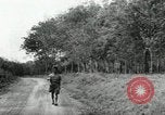 Image of Malayan Emergency Malaysia, 1966, second 57 stock footage video 65675068131