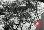 Standbild Wahlen in Malaysia Malaysia, 1966, aus Sekunde 60 historischem Filmmaterial Videoclip 65675068132