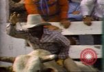 Immagine di Toro di equitazione United States USA, 1984, secondo 12 filmato di repertorio 65675068151