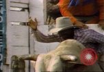 Immagine di Toro di equitazione United States USA, 1984, secondo 13 filmato di repertorio 65675068151
