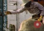 Immagine di Toro di equitazione United States USA, 1984, secondo 14 filmato di repertorio 65675068151