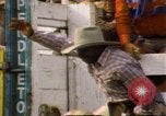 Immagine di Toro di equitazione United States USA, 1984, secondo 16 filmato di repertorio 65675068151