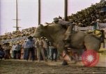 Immagine di Toro di equitazione United States USA, 1984, secondo 22 filmato di repertorio 65675068151