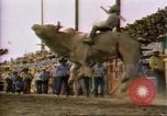 Immagine di Toro di equitazione United States USA, 1984, secondo 23 filmato di repertorio 65675068151