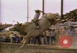Immagine di Toro di equitazione United States USA, 1984, secondo 24 filmato di repertorio 65675068151