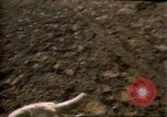 Immagine di Toro di equitazione United States USA, 1984, secondo 27 filmato di repertorio 65675068151