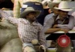 Immagine di Toro di equitazione United States USA, 1984, secondo 32 filmato di repertorio 65675068151
