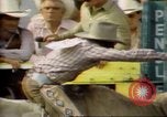 Immagine di Toro di equitazione United States USA, 1984, secondo 34 filmato di repertorio 65675068151